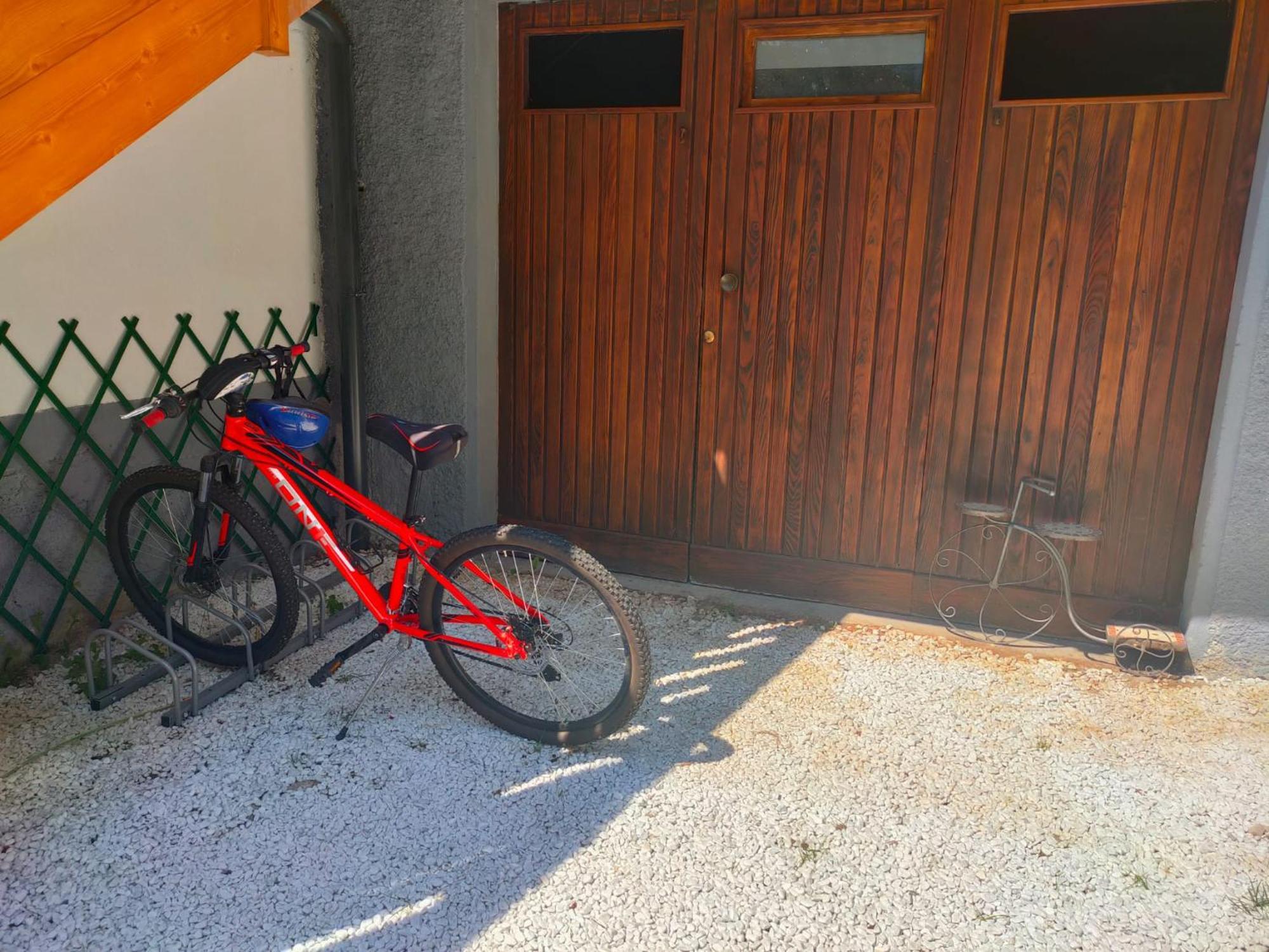 Ciasa De Le Nene - Dolomiti Guesthouse Pieve di Cadore Buitenkant foto